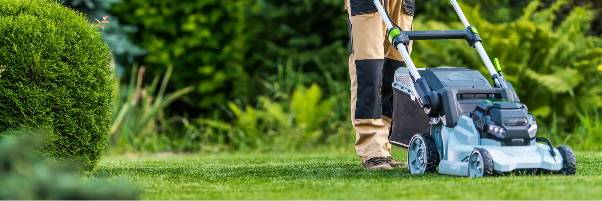 Brico et jardin : le boom du recommerce en France