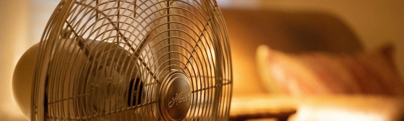 Canicule et immobilier : comment la chaleur transforme les critères d’achat