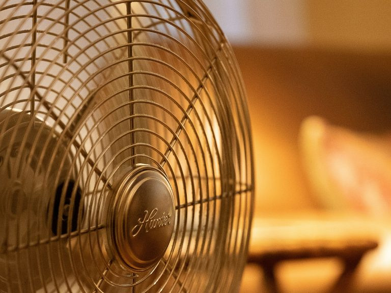 Canicule et immobilier : comment la chaleur transforme les critères d’achat